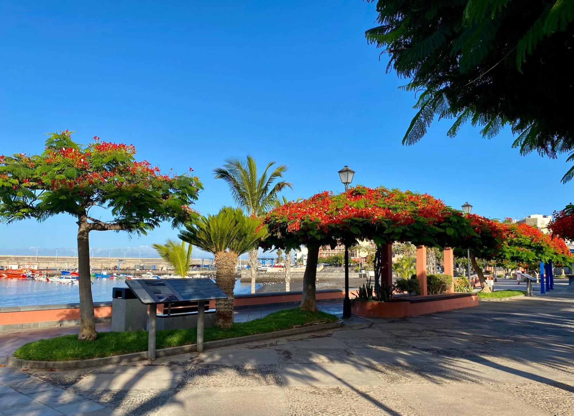 Casa Antonio - Apartamento Orion Playa de San Juan (Tenerife) Exterior foto